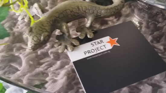 39 Lorong Marzuki, Lorong Marzuki, 5 Bedrooms, 5,069 sqft, Semi-Detached House For Rent, by Jay Ting, 500068388 - PropertyGuru.com.sg