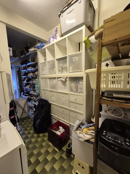 Botanic Gardens Mansion, 2 Taman Serasi, 3 Bedrooms, 1,755 sqft, Apartment For Rent, by Alex Tang 陳拁燐, 500068478 - Interior - PropertyGuru.com.sg