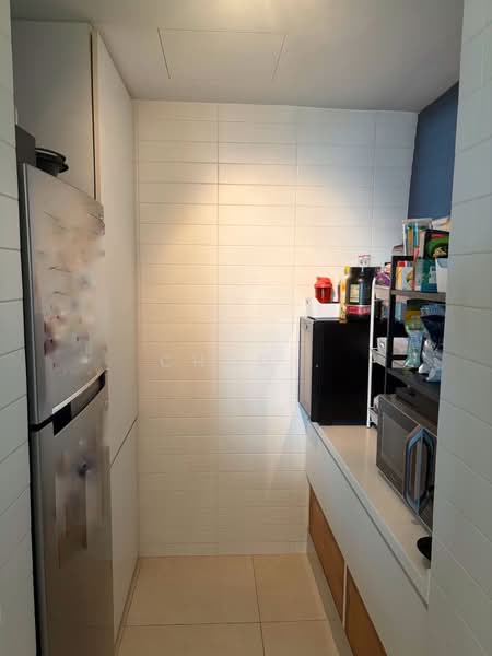 Southbank, 881 North Bridge Road, 2 Bedrooms, 958 sqft, Condominium For Rent, by Choo ., 500068725 - Kitchen - PropertyGuru.com.sg