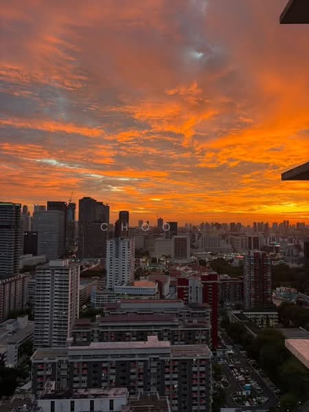 Southbank, 881 North Bridge Road, 2 Bedrooms, 958 sqft, Condominium For Rent, by Choo ., 500068725 - PropertyGuru.com.sg