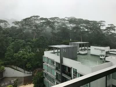 For Sale - The Raintree