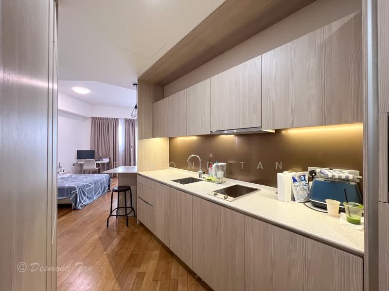 DUO Residences, 1 Fraser Street, Studio, 527 sqft, Apartment For Rent, by Desmond Tan, 500069005 - Kitchen - PropertyGuru.com.sg