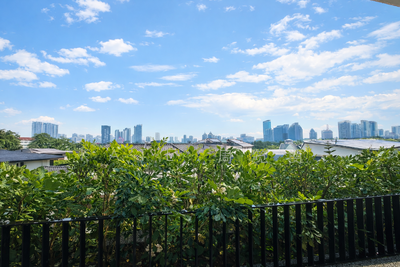 For Sale - Mt Rosie | Elevated Freehold Plot | Panoramic Unblocked Views | 5-Car Basement | Rare Offering