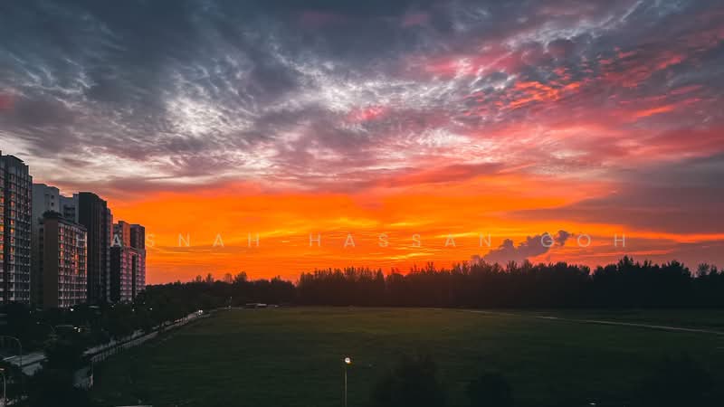 259B Punggol Field HDB Flat For Sale at S$ 550,000 | PropertyGuru Singapore - Exterior