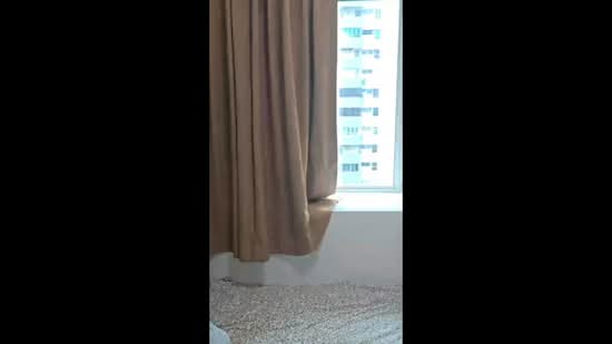 Papillon, 8 Jalan Rama Rama, Room Rental, 100 sqft, Apartment For Rent, by Lydia Wang, 500069345 - PropertyGuru.com.sg
