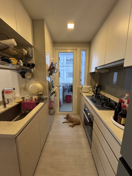 The Tampines Trilliant, 21 Tampines Central 7, 3 Bedrooms, 872 sqft, Executive Condominium For Sale, by Shawn Yong, 500069392 - Kitchen - PropertyGuru.com.sg