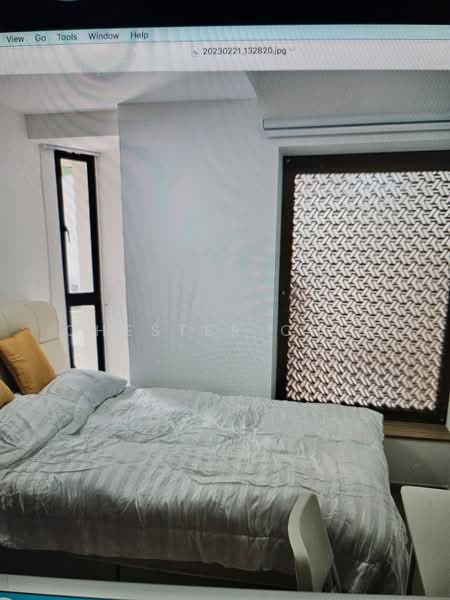 Pine Grove, 1G Pine Grove, Room Rental, 200 sqft, Condominium For Rent, by Chester Chia, 500069415 - Bedroom - PropertyGuru.com.sg