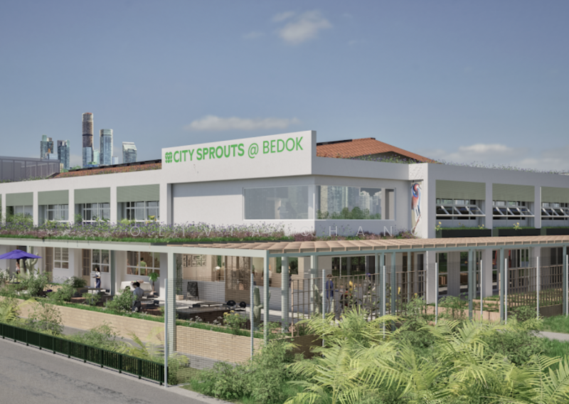 521 Bedok North Avenue 1, 521 Bedok North Avenue 1, Room Rental, 150 sqft, HDB Flat For Rent, by Olivia Chang, 500069724 - Community Hub - PropertyGuru.com.sg