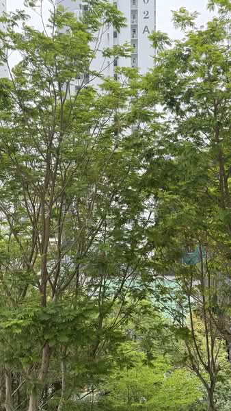 104A Depot Road HDB Flat For Sale at S$ 780,000 | PropertyGuru Singapore