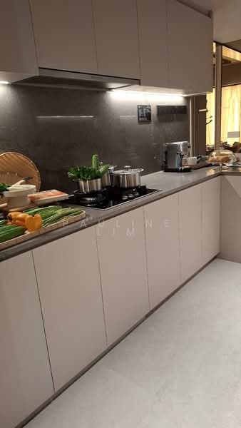 River Modern Condominium For Sale at S$ 5,496,002 | PropertyGuru Singapore - Kitchen