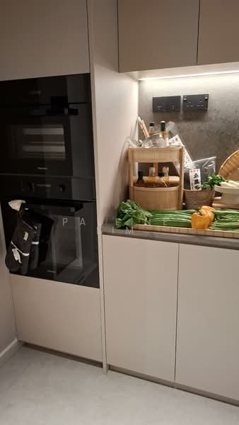 River Modern Condominium For Sale at S$ 5,496,002 | PropertyGuru Singapore - Kitchen