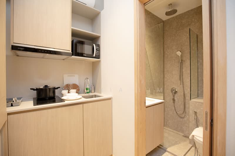Freehold Serviced Apartment in River Valley, , 6,149 sqft, Land with Building / En-bloc For Sale, by Sophia Lim, 500069834 - Kitchen - CommercialGuru.com.sg