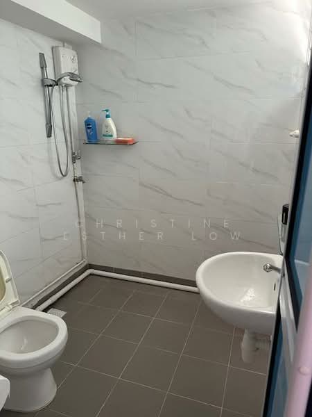 232 Tampines Street 21, 232 Tampines Street 21, 3 Bedrooms, 1,302 sqft, HDB Flat For Sale, by Christine Esther Low, 500070032 - Bathroom - PropertyGuru.com.sg
