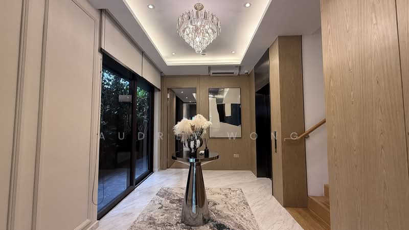 Brand New 3.5 Storey Terrace @Novena Thomson Road Shrewsbury Road Novena MRT, Shewsbury Road, 6 Bedrooms, 6,063 sqft, Terraced House For Sale, by Audrey Wong, 500070038 - Entrance - PropertyGuru.com.sg