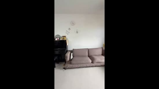 Versilia On Haig, 31 Ipoh Lane, 3 Bedrooms, 1,130 sqft, Condominium For Rent, by Leila Jiang, 500070324 - PropertyGuru.com.sg