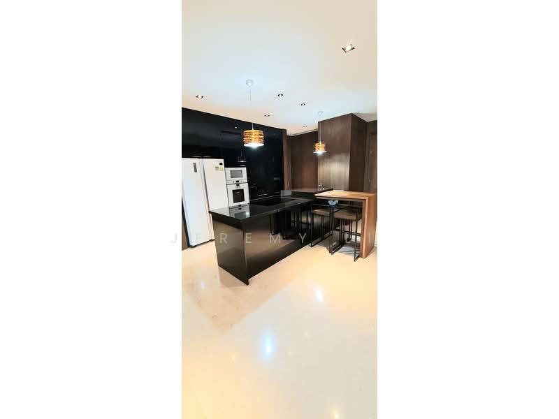 Grange Infinite, 27 Grange Road, 4 Bedrooms, 2,573 sqft, Condominium For Rent, by Jeremy Li, 500070649 - Kitchen - PropertyGuru.com.sg