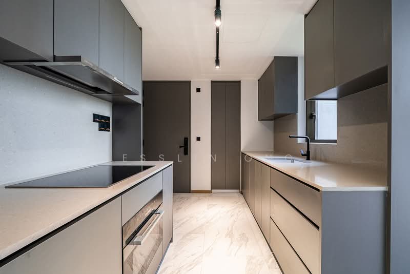 The Landmark, 173 Chin Swee Road, 2 Bedrooms, 764 sqft, Condominium For Rent, by Jesslin Ong, 500070677 - Kitchen - PropertyGuru.com.sg