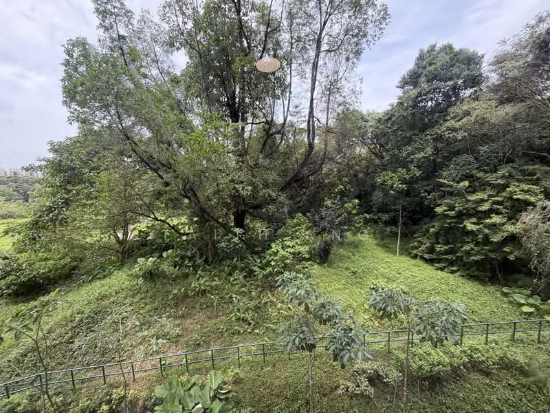 227C Bartley Walk, 227C Bartley Walk, Room Rental, 100 sqft, HDB Flat For Rent, by Faith Ang, 500070765 - Greenery View from room - PropertyGuru.com.sg