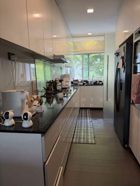 The Botanic on Lloyd, 33 Lloyd Road, 4 Bedrooms, 2,056 sqft, Condominium For Rent, by Josie Cheok Bee Tin, 500071022 - Kitchen - PropertyGuru.com.sg