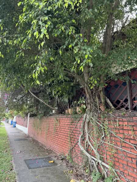 Original detached house for rent, Holland Road, 4 Bedrooms, 3,283 sqft, Detached House For Rent, by Serene Chua, 500071240 - Exterior - PropertyGuru.com.sg