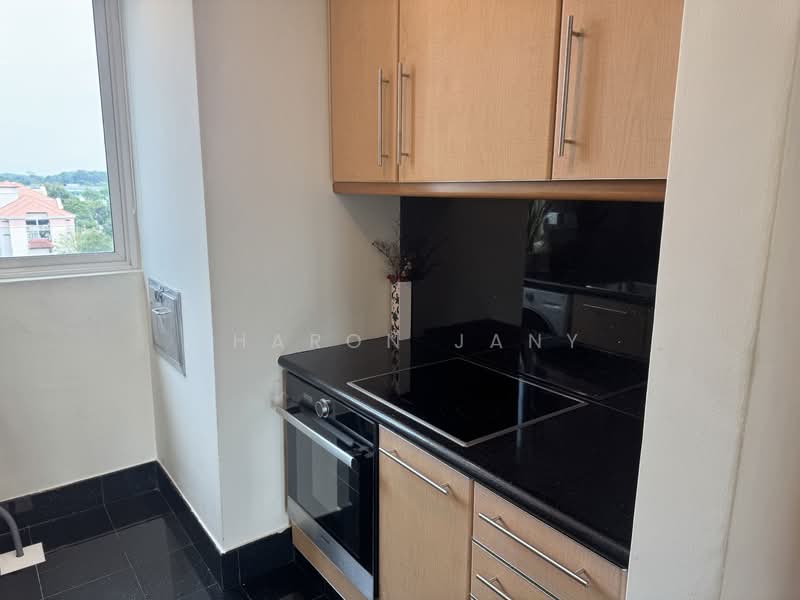 The Hermitage Apartment For Sale at S$ 2,000,000 | PropertyGuru Singapore - Kitchen