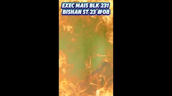 231 Bishan Street 23 HDB Flat For Sale at S$ 1,290,000 | PropertyGuru Singapore