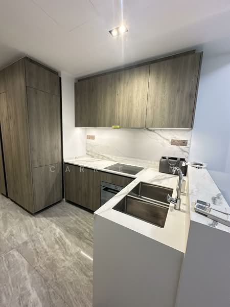 Leedon Green, 32 Leedon Heights, 2 Bedrooms, 710 sqft, Condominium For Sale, by Carrie Yin, 500072289 - Kitchen - PropertyGuru.com.sg