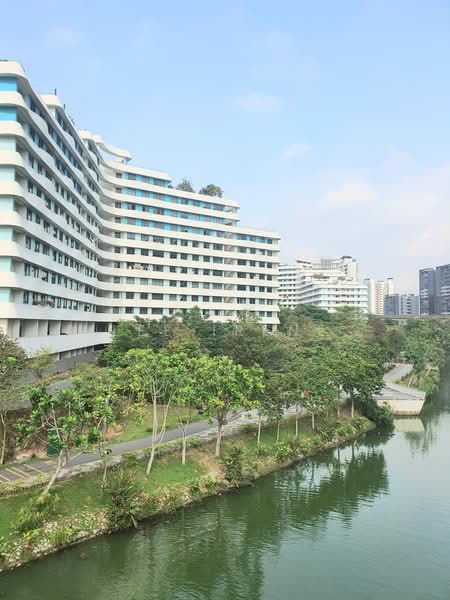 308A Punggol Walk, 308A Punggol Walk, 3 Bedrooms, 990 sqft, HDB Flat For Rent, by Lee Irene, 500072473 - Exterior - PropertyGuru.com.sg