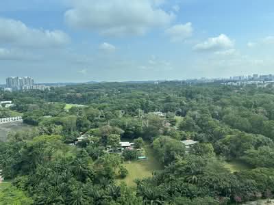 For Sale - 87 Dawson Road