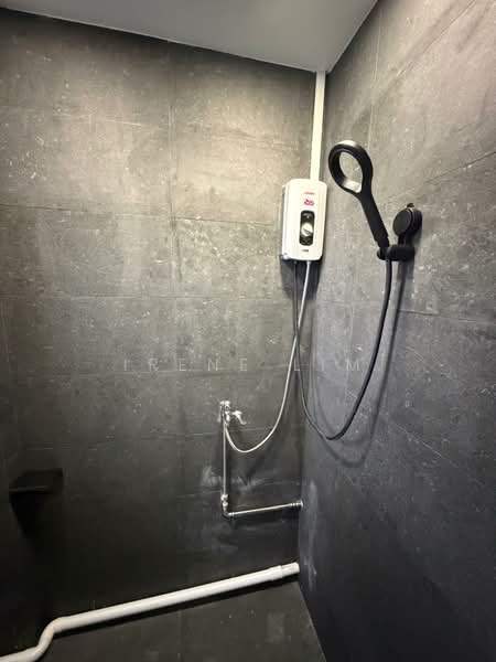 Azalea Park Condo, 2 Flora Road, 1 Bedroom, 200 sqft, Condominium For Rent, by Irene Lim, 500072552 - Bathroom - PropertyGuru.com.sg