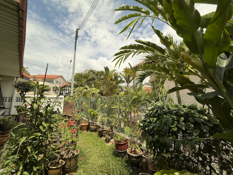 Notice the elevated nature of the land