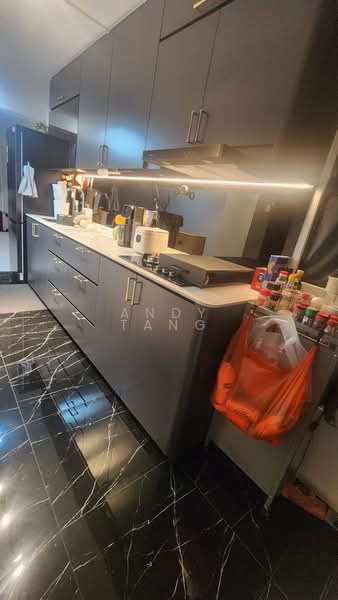 22 Havelock Road, 22 Havelock Road, Room Rental, 100 sqft, HDB Flat For Rent, by Andy Tang, 500072834 - Kitchen - PropertyGuru.com.sg