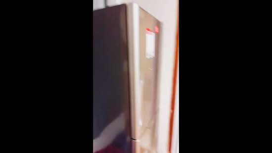 Race Course Mansion, 122 Race Course Road, Room Rental, 300 sqft, Apartment For Rent, by Jessica Bao, 500072966 - PropertyGuru.com.sg