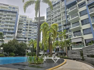 For Sale - Skies Miltonia