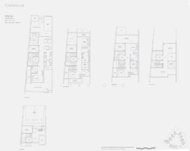 For Sale Skies Miltonia