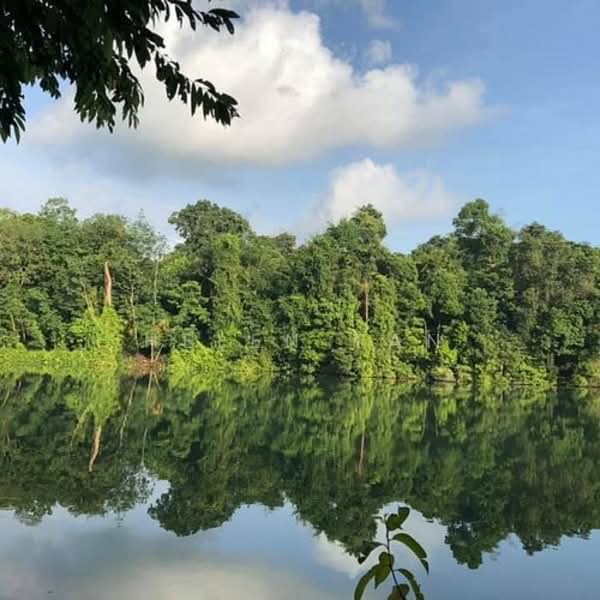 443 Ang Mo Kio Avenue 10, 443 Ang Mo Kio Avenue 10, Room Rental, 125 sqft, HDB Flat For Rent, by Helen Tan, 500073310 - Exterior - PropertyGuru.com.sg