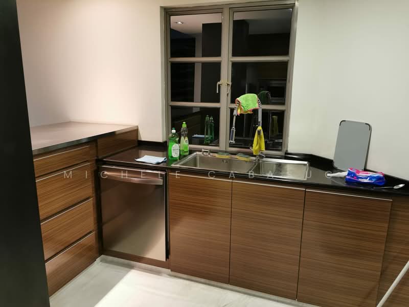 The Riverside Piazza, 11 Keng Cheow Road, Room Rental, 100 sqft, Condominium For Rent, by Michele Cabasug, 500073555 - Kitchen - PropertyGuru.com.sg