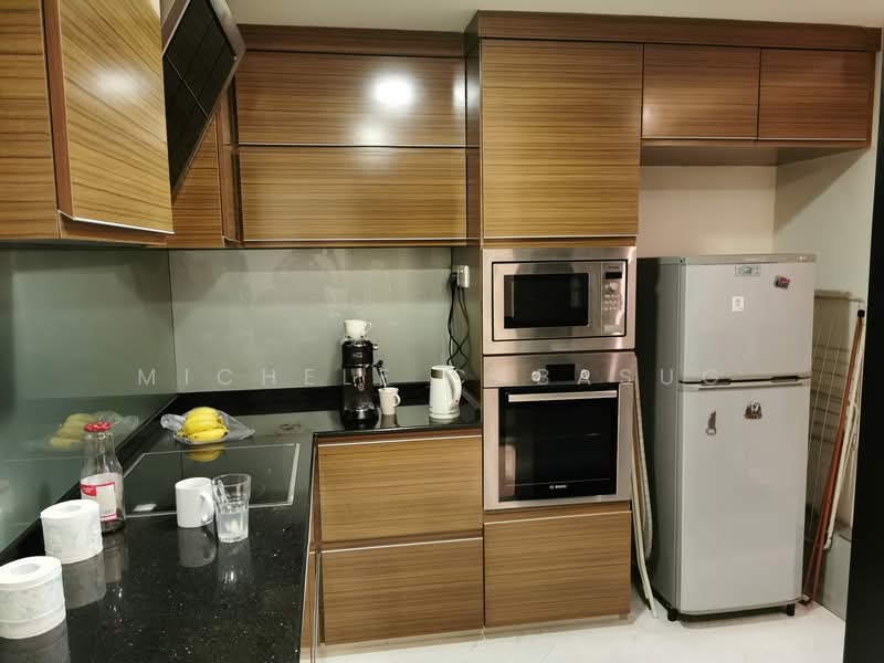 The Riverside Piazza, 11 Keng Cheow Road, Room Rental, 100 sqft, Condominium For Rent, by Michele Cabasug, 500073555 - Kitchen - PropertyGuru.com.sg