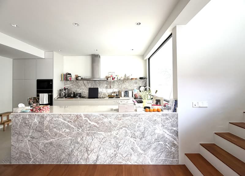 Beautifully Renovated Landed Off Holland Road Corner Terrace For Sale at S$ 7,500,000 | PropertyGuru Singapore - Kitchen