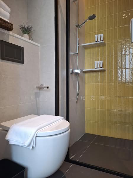 Newly Renovated, Beautifully Designed Modern Coliving - within Bugis, near NAFA, SMU, , Room Rental, 150 sqft, Apartment For Rent, by Iris T. 张文珊, 500073721 - Bathroom - PropertyGuru.com.sg