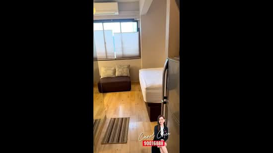 Riverwalk Apartments, 20 Upper Circular Road, Studio, 300 sqft, Apartment For Rent, by Carol Chen, 500074051 - PropertyGuru.com.sg