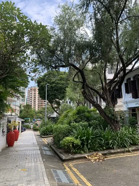 Emerald Hill Conservation Area, Emerald Hill Road, 2 Bedrooms, 2,400 sqft, Conservation House For Rent, by Serena Pan, 500074129 - Exterior - PropertyGuru.com.sg