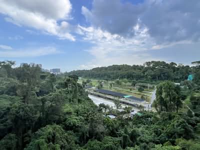 For Rent - Normanton Park