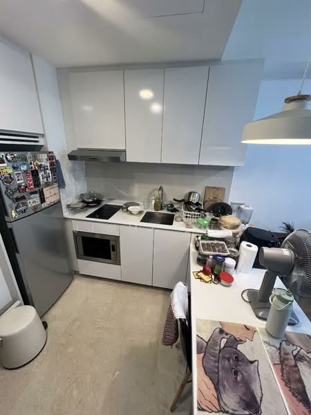 eCO Condominium For Sale at S$ 950,000 | PropertyGuru Singapore - Kitchen