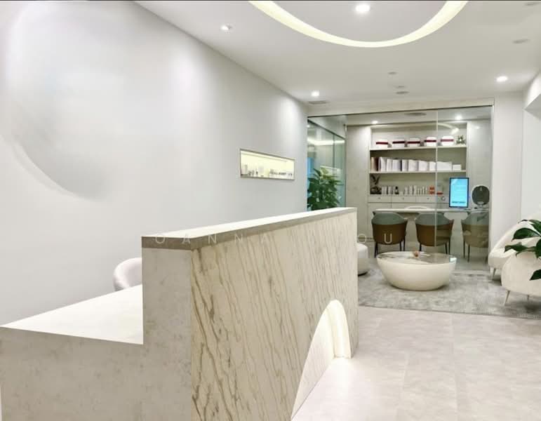 Fitted Beauty Salon, Wellness, Physio and Other Retails at Orchard, , 1,453 sqft, Other Retail For Rent, by Joanna Zhou, 500074543 - Interior - CommercialGuru.com.sg