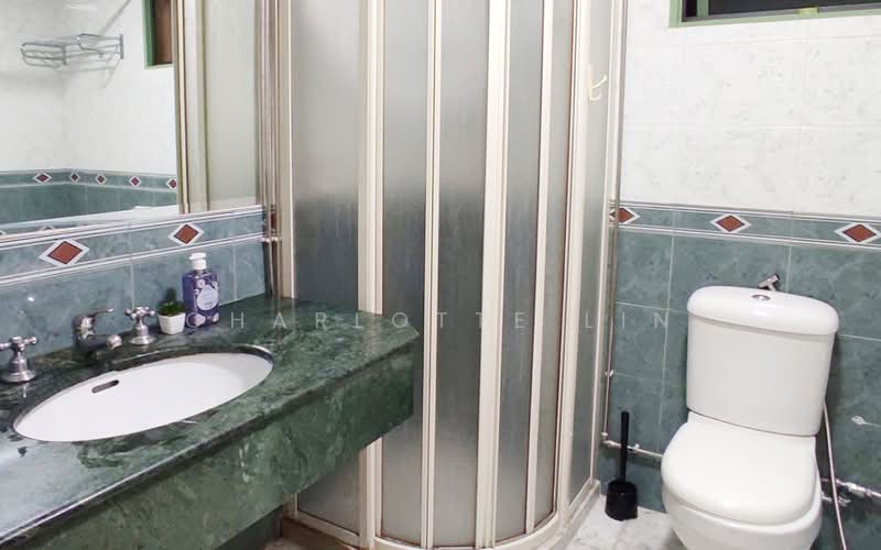 Tiara, 1 Kim Seng Walk, Room Rental, 200 sqft, Apartment For Rent, by Charlotte Lin, 500074621 - Bathroom - PropertyGuru.com.sg