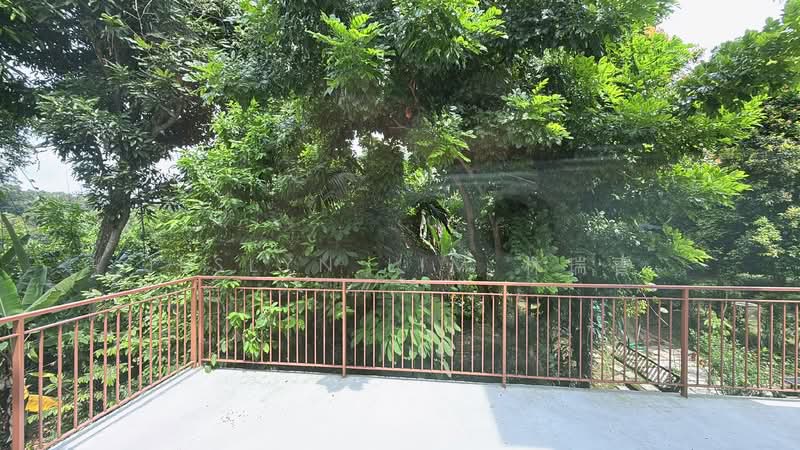 3 Storey Swiss View Spacious Family Size House near Bukit Timah, International Schools Terraced House For Sale at S$ 5,500,000 | PropertyGuru Singapore - Balcony