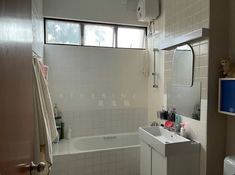 Princess of Wales Park, 100 Duchess Road, 5 Bedrooms, 4,000 sqft, Semi-Detached House For Rent, by Catherine Goh 吴宝钰, 500075438 - Bathroom - PropertyGuru.com.sg