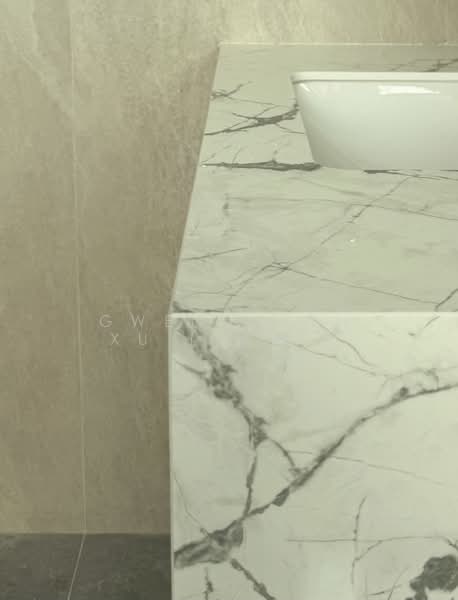 ⭐️ BRAND NEW HOME TOP soon⭐️ Semi-Detached House For Sale at S$ 15,500,000 | PropertyGuru Singapore - Bathroom