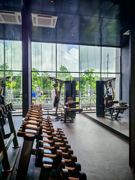 Lentor Modern, 3 Lentor Central, 3 Bedrooms, 1,109 sqft, Condominium For Rent, by Tiffany Tao 陶虹, 500075688 - Gym - PropertyGuru.com.sg